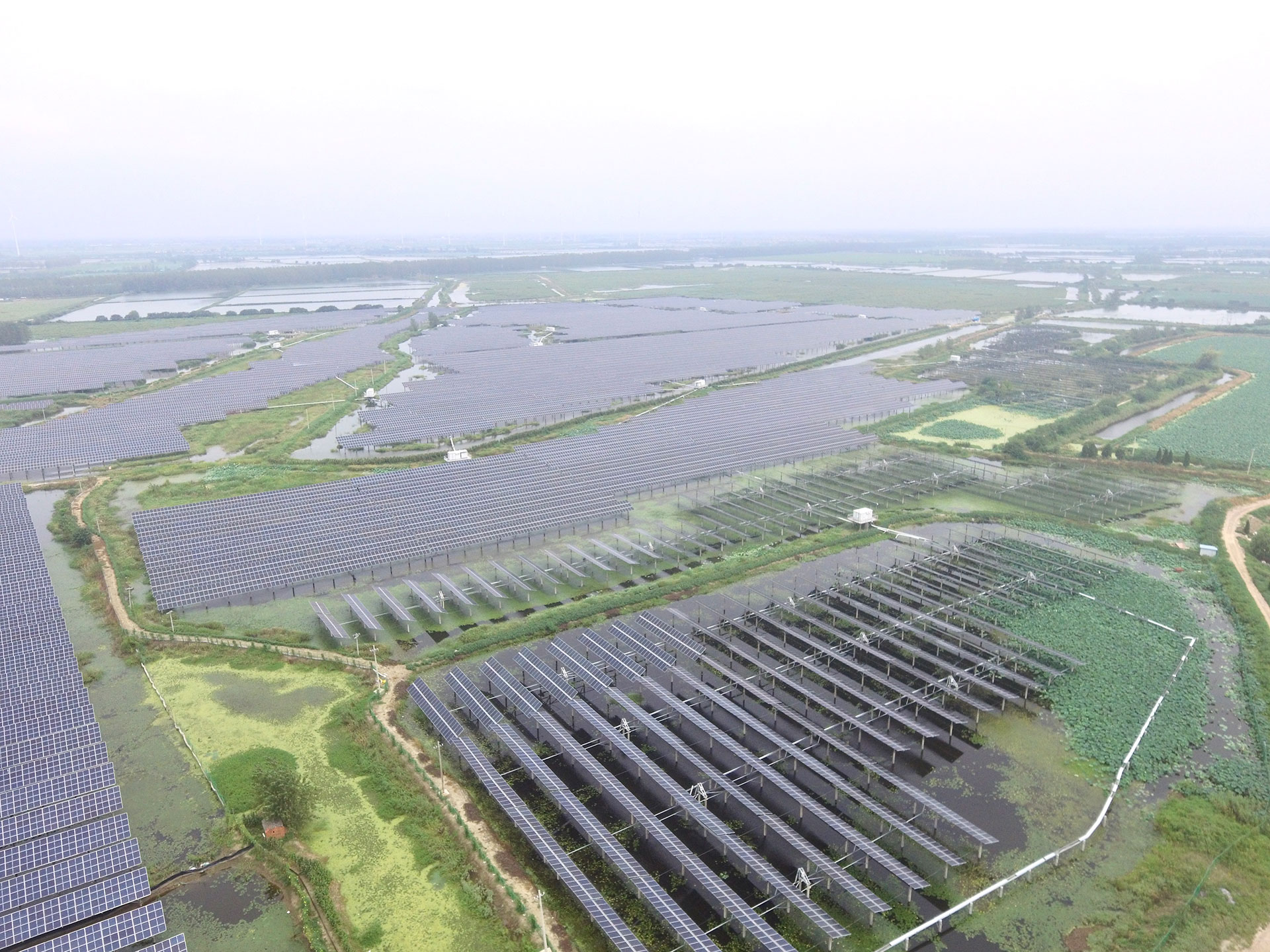 #2 100 MW Project at the Top Runner PV Power Generation Application Base of Jinko Power in Baoying, Yangzhou, Jiangsu Province